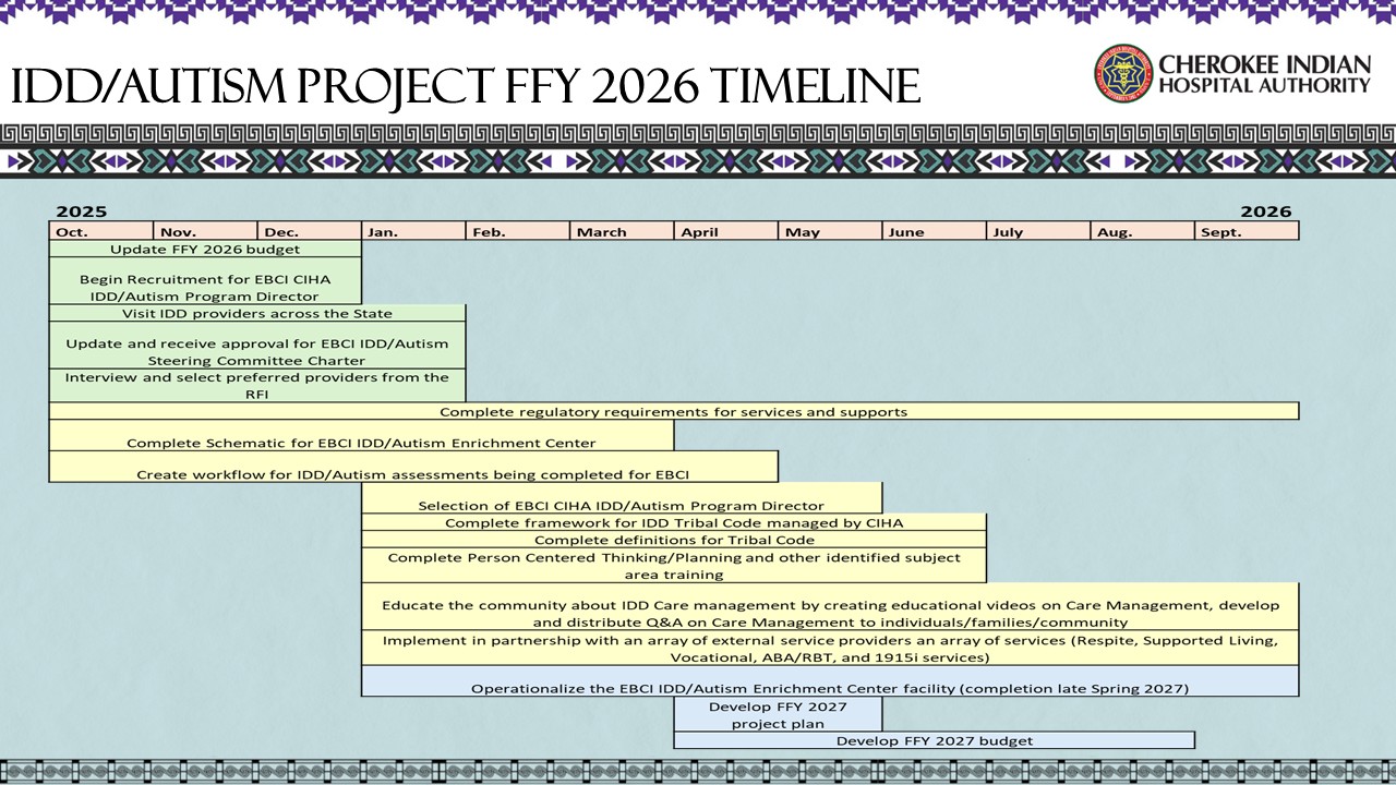 IDD/Autism Project FFY 2026 Timeline